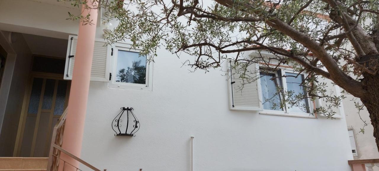 Olive Tree Lägenhet Zadar Exteriör bild